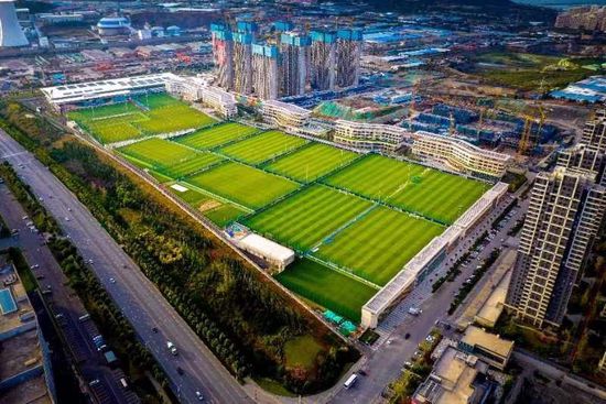 高俊伟腿部留了后遗症、成了跛子，心里对叶辰恨之入骨，本想先找施天齐治好伤再去找叶辰算账，没想到施天齐直接不让自己进门。